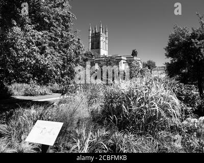 Paysage noir et blanc de la tour de la Madeleine, avec les jardins botaniques de l'Université d'Oxford, Oxford, Oxfordshire, Angleterre, Royaume-Uni, GB. Banque D'Images