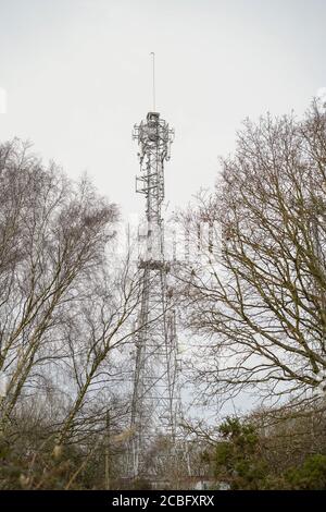 Mât de téléphone portable à l'extérieur au Royaume-Uni dans les arbres d'hiver. Banque D'Images