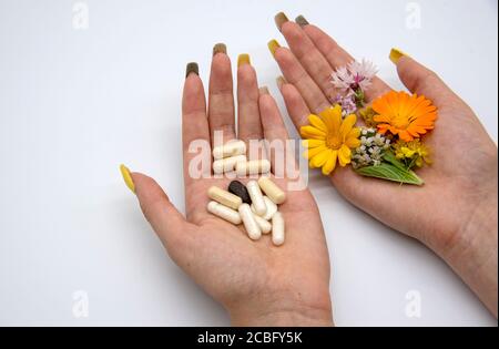 Deux mains de femme sur un arrière-plan léger. Dans une main, les capsules et les comprimés, dans les autres herbes médicinales. Banque D'Images