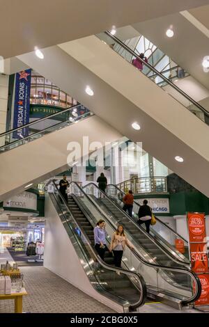 Escaliers roulants dans le grand magasin Macy, Chicago. Banque D'Images