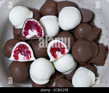 la main de femme choisit et attrapant rouge frais et brillant frais framboises enrobées de chocolat noir et blanc fait maison Banque D'Images