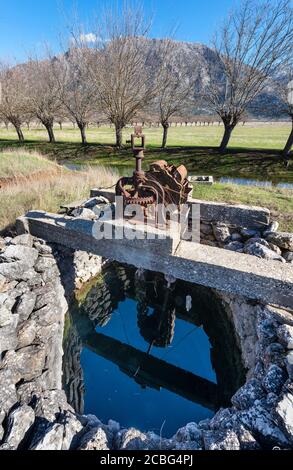 Les mûriers par un canal d'irrigation et une vieille eau bien utilisée pour irriguer les plaines inondables de Mantineia, près de Tripoli, Arcadia Sud, Péloponne Banque D'Images