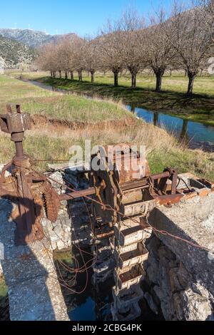 Les mûriers par un canal d'irrigation et une vieille eau bien utilisée pour irriguer les plaines inondables de Mantineia, près de Tripoli, Arcadia Sud, Péloponne Banque D'Images