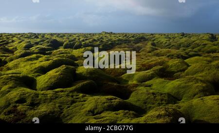 Eldhraun Lava Field, sud de l'Islande (vue large) Banque D'Images