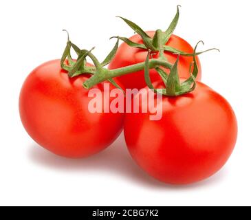 Chemin de tomate isolated on white Banque D'Images