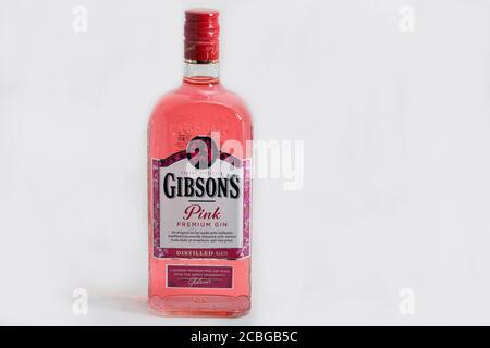 KIEV, UKRAINE - 28 MARS 2020 : bouchon de Gibsons Premium rose en bouteille sur fond blanc. Le gin est une boisson alcoolique distillée qui en tire Banque D'Images