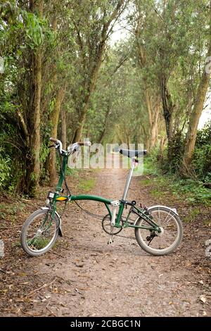 2020 août - vélo britannique pliant Brompton sur sentier de randonnée à saules près de Glastonbury. Banque D'Images