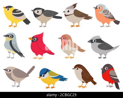 Oiseaux mignons. Petits oiseaux colorés dessinés à la main, personnages animaux pour carte imprimée, décoration de jardin. Éléments pour ensemble de vecteurs d'affiche puérile Illustration de Vecteur