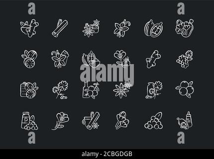 Des icônes blanches de craie aux épices asiatiques sur fond noir Illustration de Vecteur