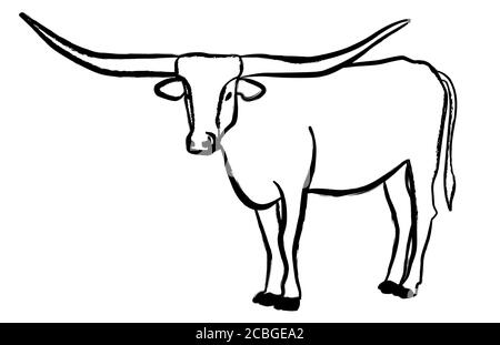 Texas Longhorn taureau, icône du bétail, sur fond blanc. Illustrations vectorielles. Illustration de Vecteur