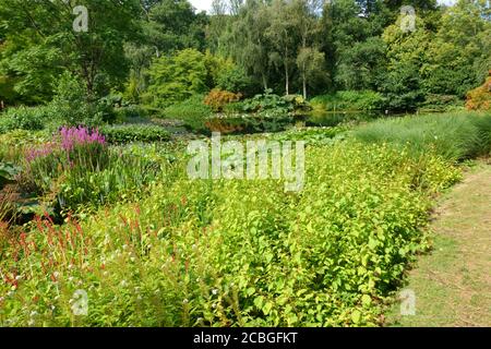 Rosemoor RHS Gardens, « Hot Gardeb », Devon, Angleterre, Royaume-Uni Banque D'Images