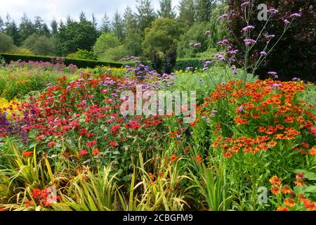 Rosemoor RHS Gardens, « Hot Gardeb », Devon, Angleterre, Royaume-Uni Banque D'Images