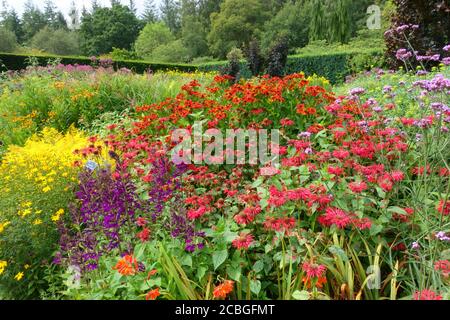 Rosemoor RHS Gardens, « Hot Gardeb », Devon, Angleterre, Royaume-Uni Banque D'Images