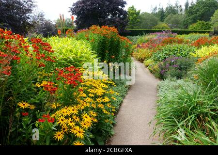 Rosemoor RHS Gardens, « Hot Gardeb », Devon, Angleterre, Royaume-Uni Banque D'Images