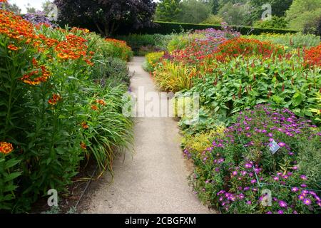 Rosemoor RHS Gardens, « Hot Gardeb », Devon, Angleterre, Royaume-Uni Banque D'Images