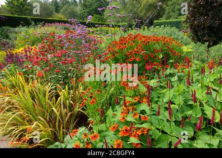 Rosemoor RHS Gardens, « Hot Gardeb », Devon, Angleterre, Royaume-Uni Banque D'Images