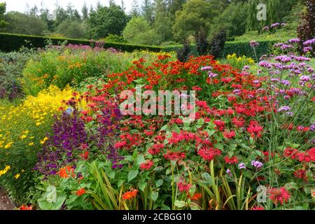 Rosemoor RHS Gardens, « Hot Gardeb », Devon, Angleterre, Royaume-Uni Banque D'Images