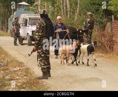 Srinagar, Inde. 13 août 2020. Les forces de sécurité indiennes ont lancé une opération anti-militants dans le village de Hieng-Rajpora, dans la ville de Kunzer, dans le district de Baramulla, au nord de Srinagar, au Cachemire contrôlé par l'Inde, le 13 août 2020. L'opération anti-militants a été lancée à la suite des contributions concernant la présence de militants dans la région. (Photo de Sajad Hameed/Pacific Press/Sipa USA) Credit: SIPA USA/Alay Live News Banque D'Images