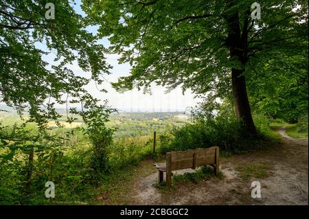 Un point de vue sur North Downs Way près de Woldingham à Surrey, Royaume-Uni. Le North Downs fait partie de la région de Surrey Hills d'une beauté naturelle exceptionnelle. Banque D'Images