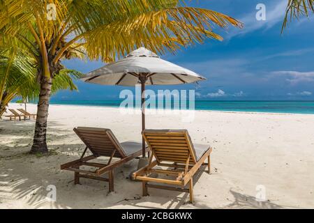 Belle plage tropicale. Sable blanc et chaises de coco Palms, tourisme de voyage parapluie, paysage de plage incroyable. Vacances ou vacances de luxe sur l'île Banque D'Images