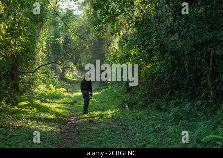 Une femme marchant le long d'un sentier dans la forêt tropicale de l'Atlantique d'Ubatuba, au sud-est du Brésil Banque D'Images