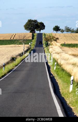 route de campagne solitaire en été à travers les champs jusqu'à une colline avec arbres Banque D'Images