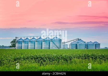 Le soleil se lève au-dessus des silos à grains d'acier dans le delta du Mississippi, le 8 août 2016, à Cleveland, Mississippi. Banque D'Images