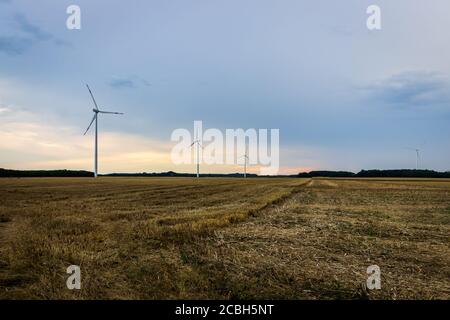 Moulins à vent sur un champ de céréales récolté en Hongrie Banque D'Images