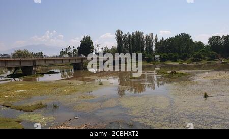 Les ponts sont beaux. Banque D'Images