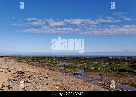 En regardant vers le nord en direction d'Arbroath depuis East Haven Beach avec le Tide Out et la strate de roche couverte d'algues visible à marée basse. Banque D'Images