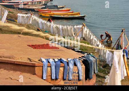 Dhobi wallahs faisant la blanchisserie à Ganges River, Bénarès, Varanasi (Bénarès), l'Inde, Kashi Banque D'Images