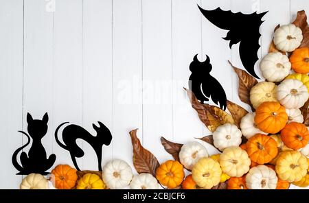 Arrière-plan d'Halloween avec citrouilles, chats noirs, chouette noire et chauves-souris en papier noir sur fond blanc. Copier l'espace pour le texte. Concept festif. Vue de dessus. Banque D'Images