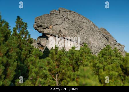 Randonnées le long des sentiers touristiques dans le parc national de Karkonosze Mountain en Pologne avec le sac à dos à l'arrière. Rock formation Horse's Heads Banque D'Images