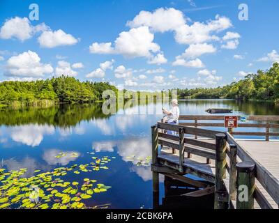 Femme prenant des photos avec le téléphone le jour de l'été en six Mile Cypress Slough Preserve à fort Myers en Floride États-Unis Banque D'Images