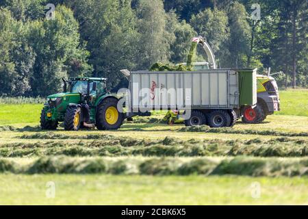 BAVIÈRE / ALLEMAGNE - AOÛT 07,2020 : la moissonneuse Claas Jaguar 930 et un John Deere 6175R avec une remorque Fliegl Gigant travaillent dans un champ. Banque D'Images