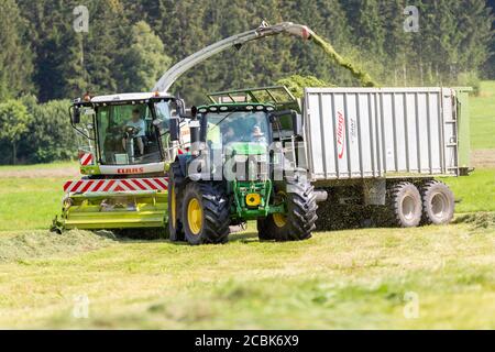 BAVIÈRE / ALLEMAGNE - AOÛT 07,2020 : la moissonneuse Claas Jaguar 930 et un John Deere 6175R avec une remorque Fliegl Gigant travaillent dans un champ. Banque D'Images