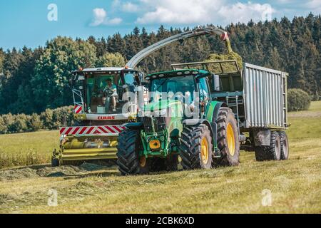 BAVIÈRE / ALLEMAGNE - AOÛT 07,2020 : la moissonneuse Claas Jaguar 930 et un John Deere 6175R avec une remorque Fliegl Gigant travaillent dans un champ. Banque D'Images