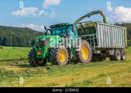 BAVIÈRE / ALLEMAGNE - AOÛT 07,2020 : la moissonneuse Claas Jaguar 930 et un John Deere 6175R avec une remorque Fliegl Gigant travaillent dans un champ. Banque D'Images