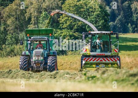 BAVIÈRE / ALLEMAGNE - AOÛT 07,2020 : la moissonneuse Claas Jaguar 930 et un Fendt 926 avec remorque Krone ZX400GL travaillent dans un champ. Banque D'Images