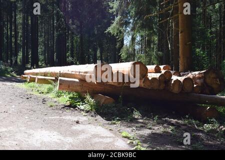 Grumes sur le sentier de randonnée autour du Hohe Acht Banque D'Images