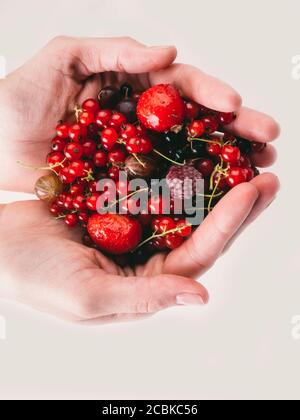 femmes mains tenant mélange de baies fraîches d'été, alimentation saine, dieting, nourriture végétarienne riche en vitamines et antioxydants, foyer sérélectif Banque D'Images