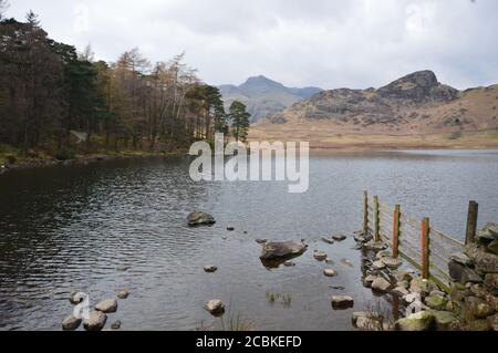 Blea Tarn dans le district des lacs Banque D'Images