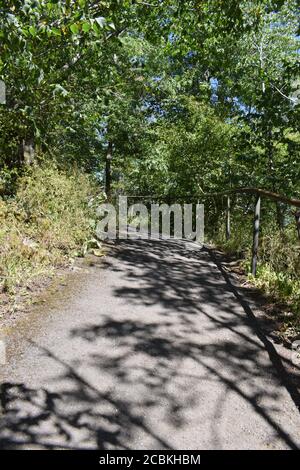 Sentier de randonnée autour du Hohe Acht Banque D'Images