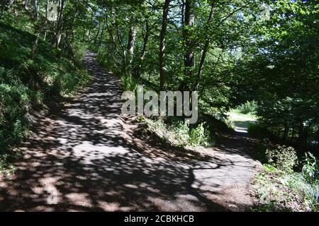 Sentier de randonnée autour du Hohe Acht Banque D'Images