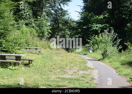 Sentier de randonnée autour du Hohe Acht Banque D'Images