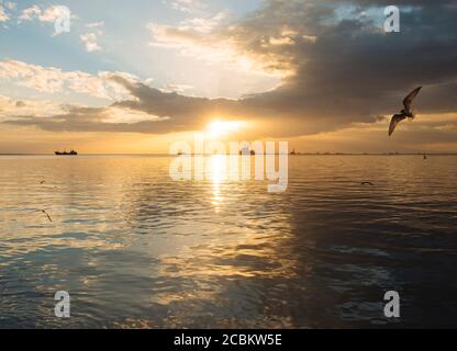 Baywalk au coucher du soleil, Roxas Boulevard, Manille, Philippines Banque D'Images