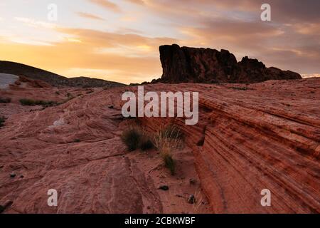 Géologie près de la vague de feu, parc national de la Vallée de feu, Nevada, États-Unis Banque D'Images
