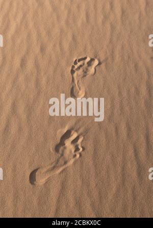Des empreintes de pas dans le sable, close-up Banque D'Images