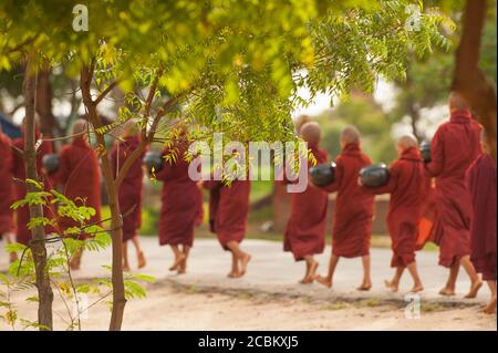 Jeunes Monks bouddhistes rassemblant des almes, Bagan, Myanmar Banque D'Images