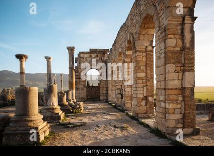 Ruines romaines de Volubilis, Meknès, Maroc, Afrique du Nord Banque D'Images